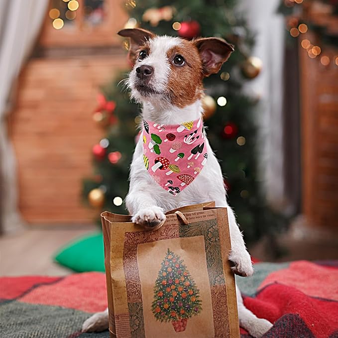 PET SHOW 50pcs Bulk Girl Small Dog Bandanas