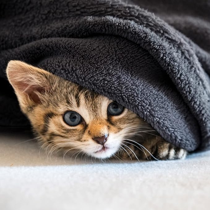 Veehoo Fluffy Fleece Dog Blanket 60x50 inch