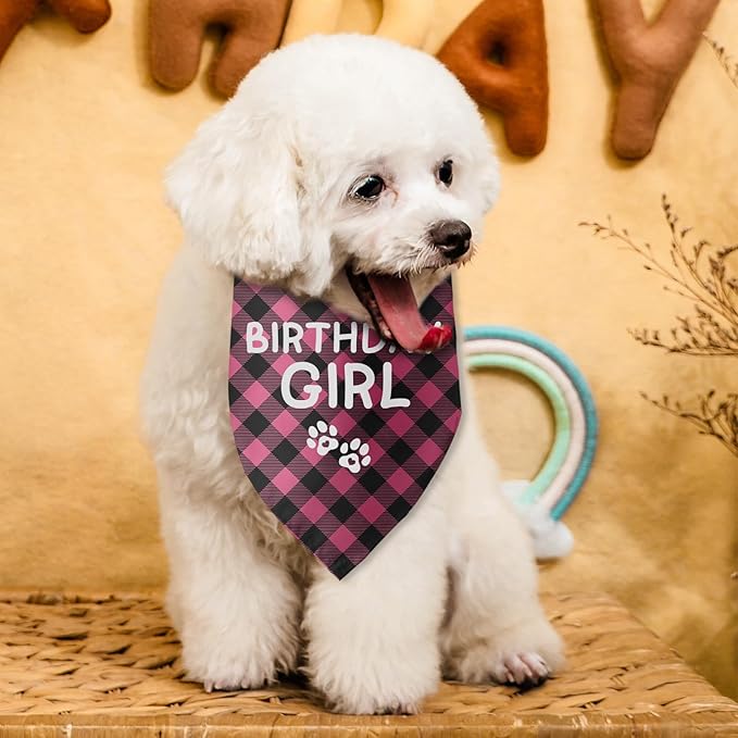 Birthday Girl Dog Birthday Bandana Girl Pink Dog