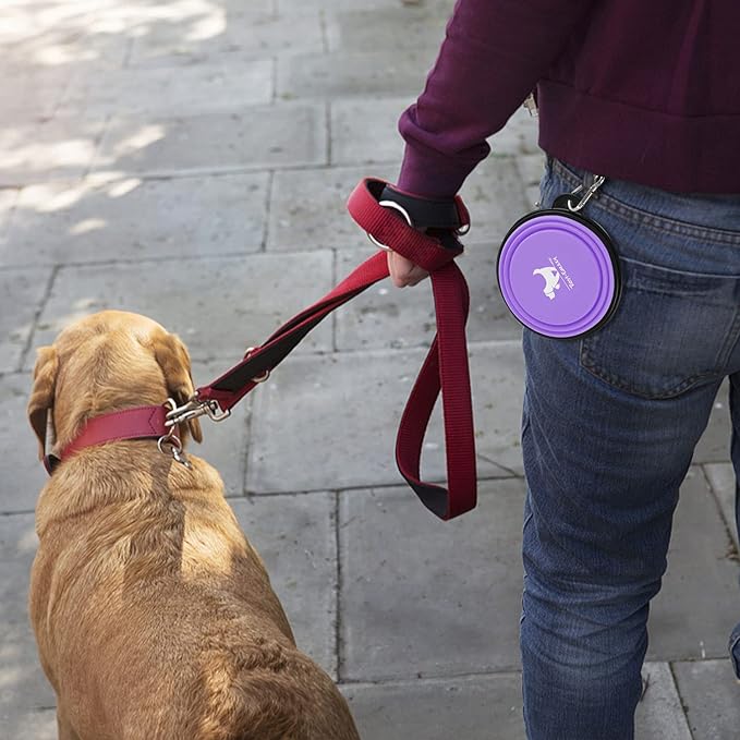 Collapsible Dog Bowls for Travel 2-Pack Dog 2 Carabiners,