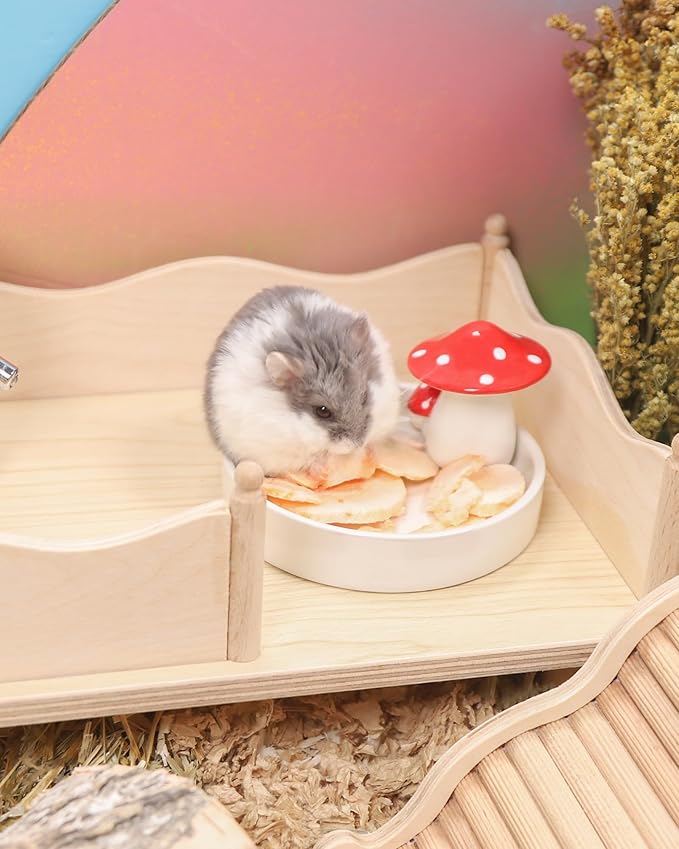 Niteangel Hamster Snack & Treats Toy