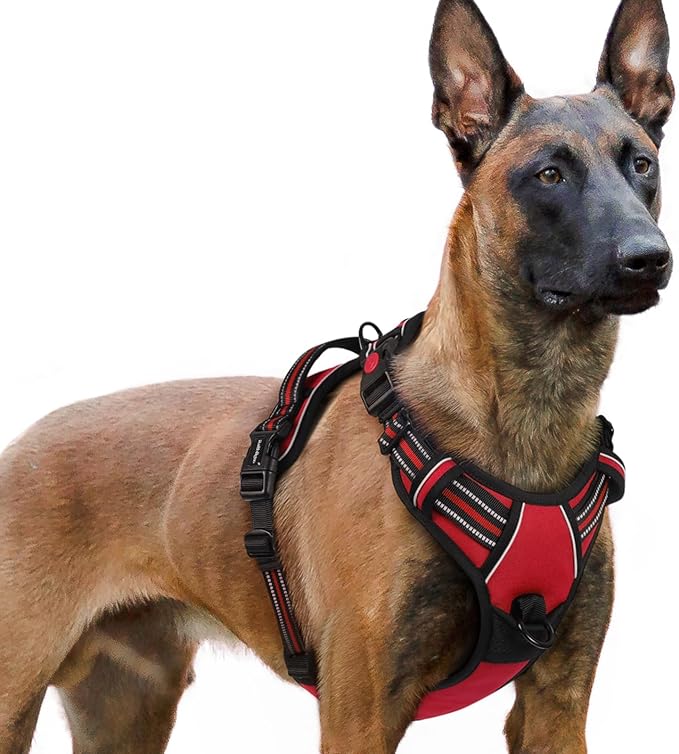 rabbitgoo Dog Harness for Large 3 Buckles,