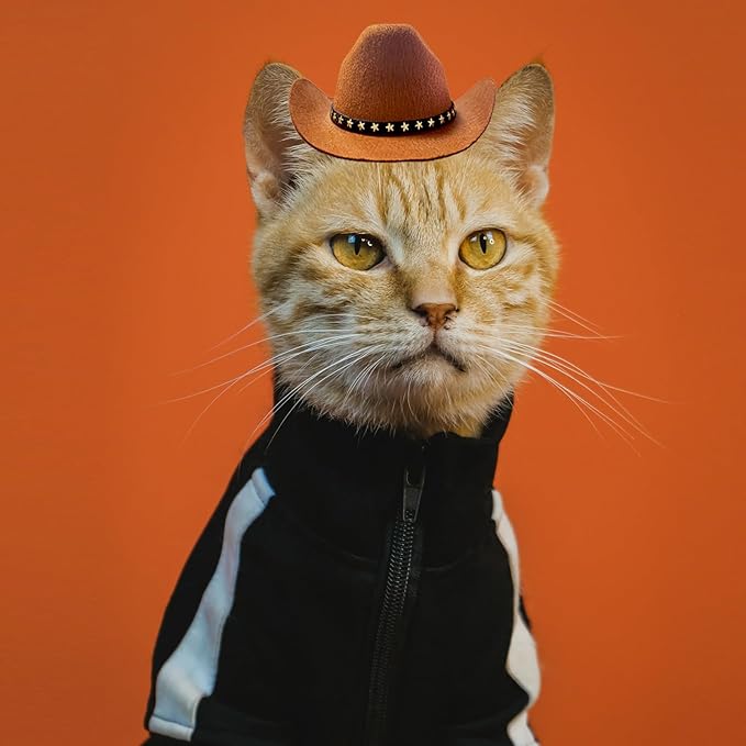 Dog Cowboy Hat Cat Cowboy Hat Mini Cowboy Hat for Dogs Cat Pet Cowboy Costume with Bandana Scarf Holiday Halloween Pet Party Decoration (brown