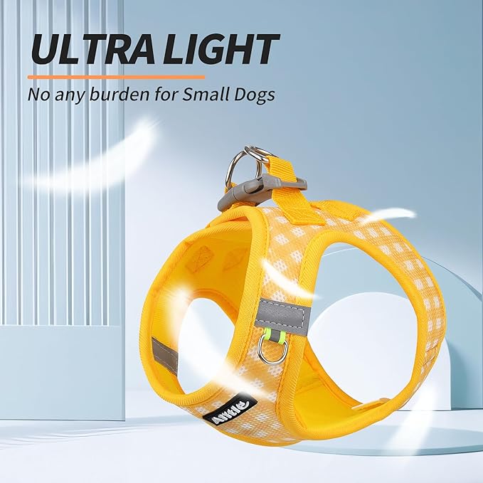 AIITLE Adjustable Dog Harness and Leash Set
