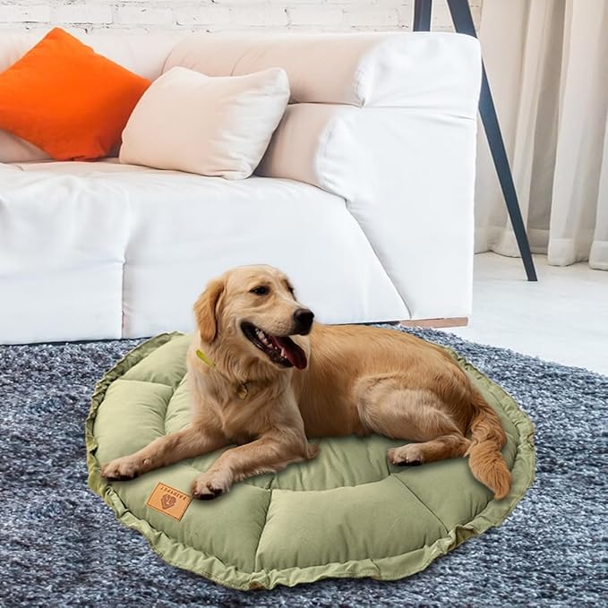 Dog Beds for Dogs