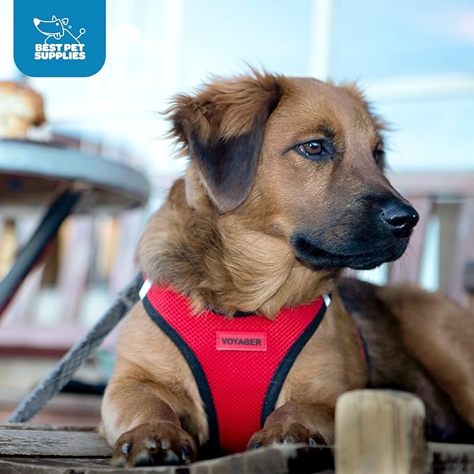 Voyager Step-in Air Dog Harness 20.5-23")