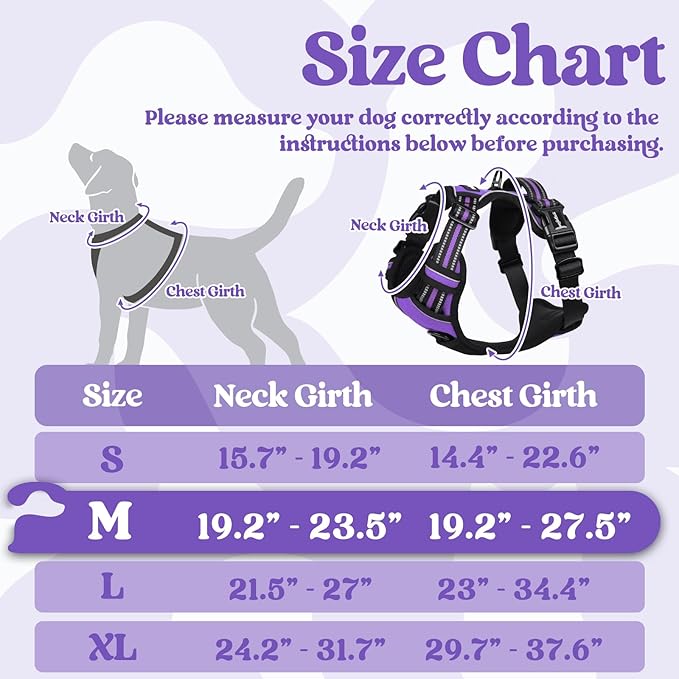 rabbitgoo Dog Harness Medium Sized 3 Buckles,