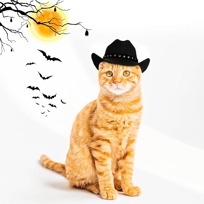 choyaxo Pet Cowboy Costume Cosplay Cap Halloween Costumes for Dogs Cat Pet Party Decoration Mini Cowboy Hat (Black