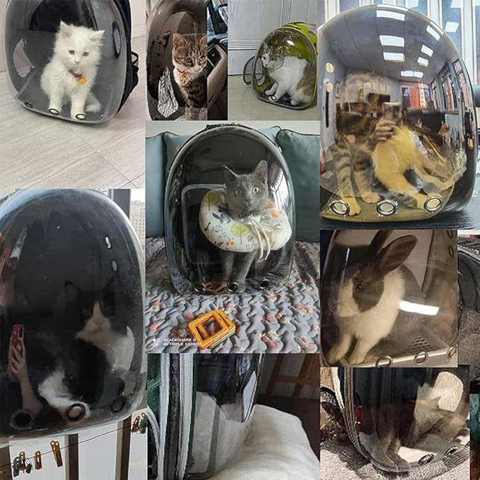 Cat Backpack Carrier Bubble (Black-2)