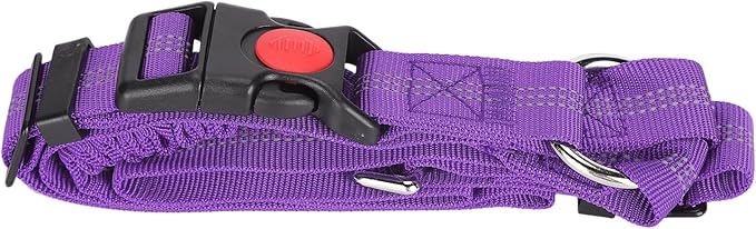 Dog Seat Belt for Cars