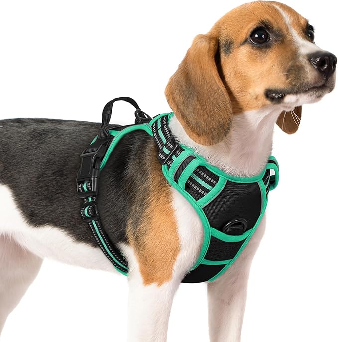 rabbitgoo Dog Harness 2 Leash