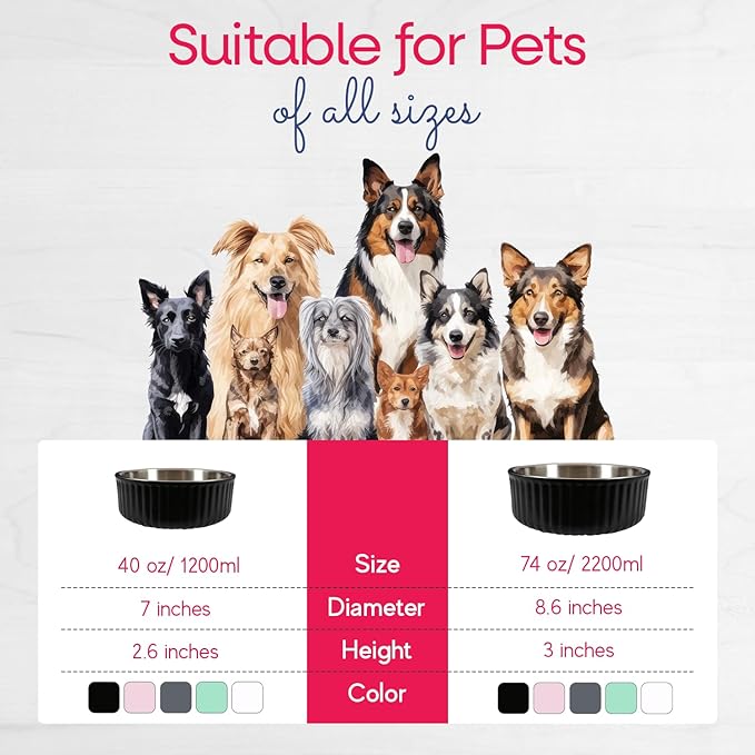 Stainless Steel Pet Bowl 40 Oz/1200ml)