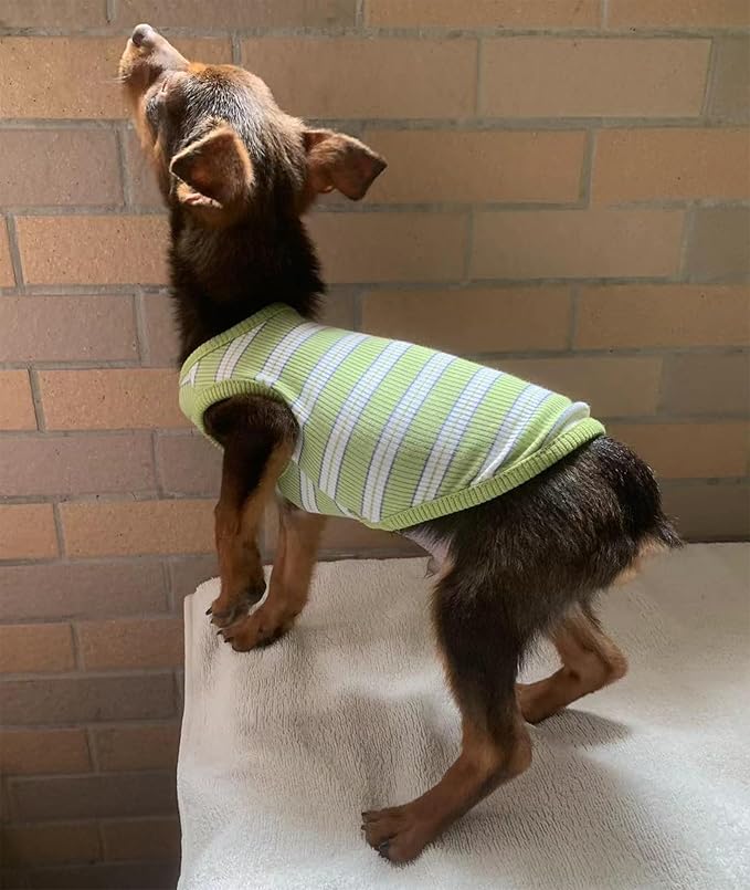 YQYS Dog Shirts Multi-color Striped Cotton Vest for Small Dogs and Cats Puppy Clothes Teacup Dog Clothing Tank Top for Chihuahua Miniature Pinscher Green Small