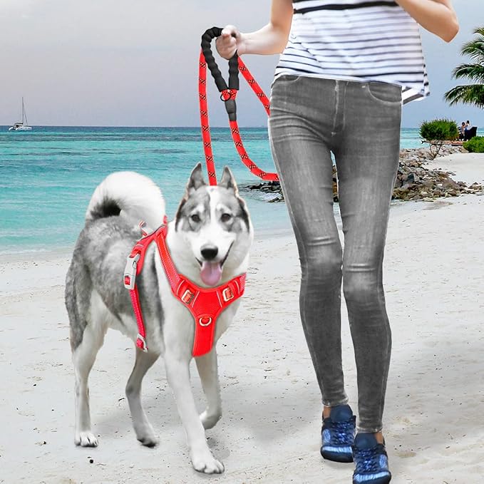 BARKBAY No Pull Dog Harness Large Step in Reflective Dog Harness with Front Clip and Easy Control Handle for Walking Training Running with ID tag Pocket(Red