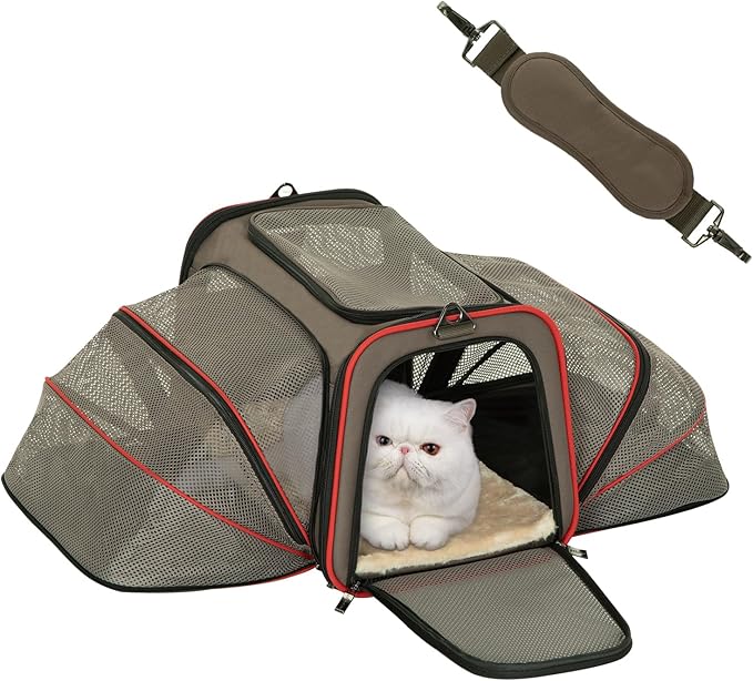Petsfit Airline Approved Expandable Large Cat Carrier Small Dog Carrier 17" x 11" x 11" Collapsible