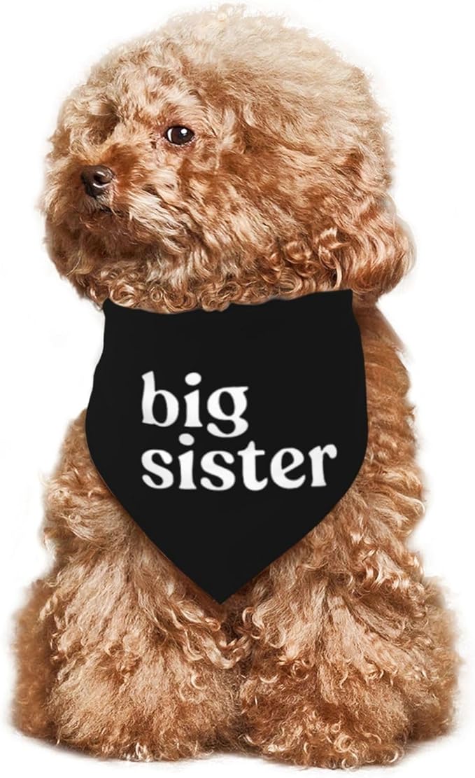 Big Sister Dog Bandana,Baby Announcement Dog Bandana,Gender Reveal,Pet Scarf, Pet Accessories for Photo Props Accessories (Black)