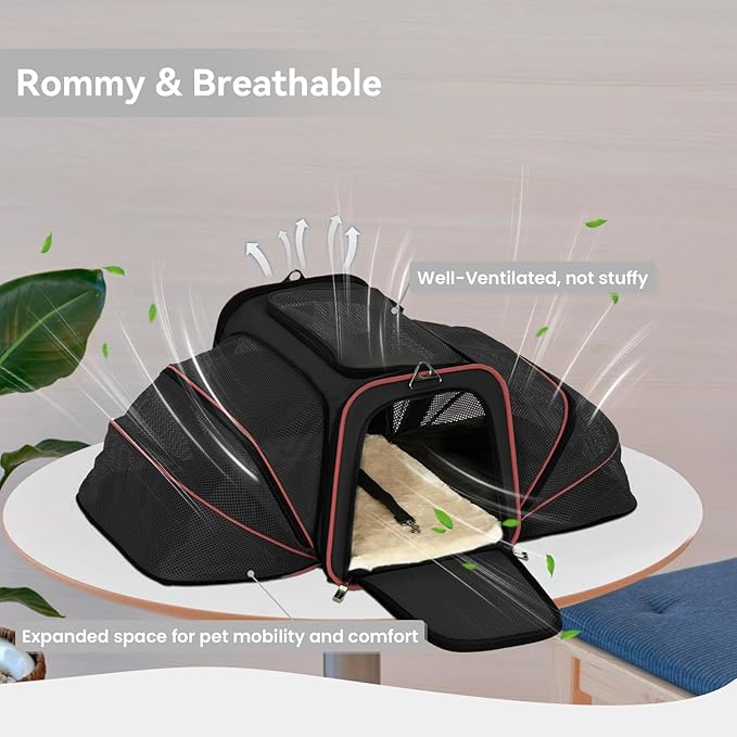 Petsfit Expandable Cat Carrier Large for 2 Cats 19x12x12 Inches, 2 Extensions 15 Lbs,