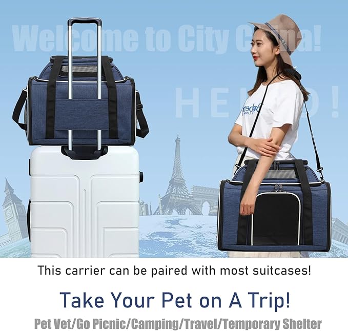 HSC PET Cat Carriers Small Dog Bag 2 Bleathable