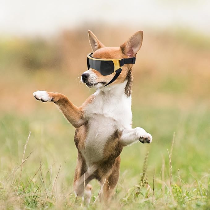 ENJOYING Dog Sunglasses Small Dog Goggles Anti-UV Doggy Glasses for Small Dogs Big Cats Impact/Wind/Dust/Fog Proof Puppy Eye Protection