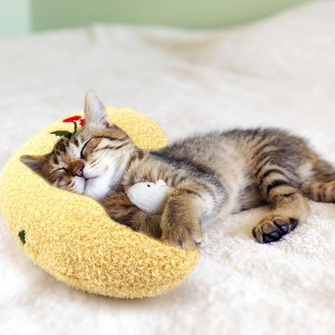 Mity rain Dog Pillow