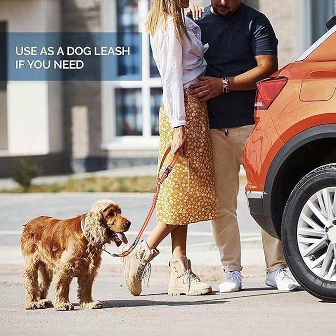 Best Dog Supplies Dog Safety Car Seat Belt – Durable & Comfortable Elastic Nylon Vehicle Seatbelt Plus Tangle-Free Headrest Harness