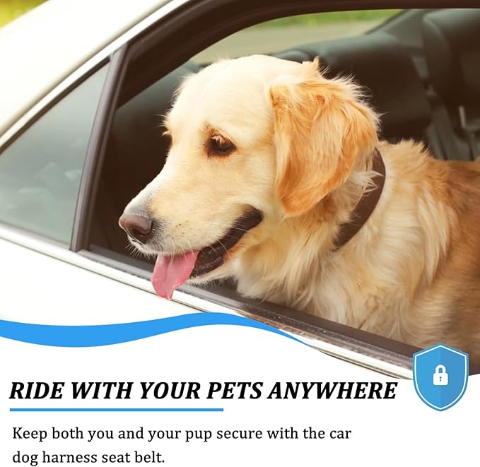 BamLue Dog Harness 2 Pack 32 inch/80