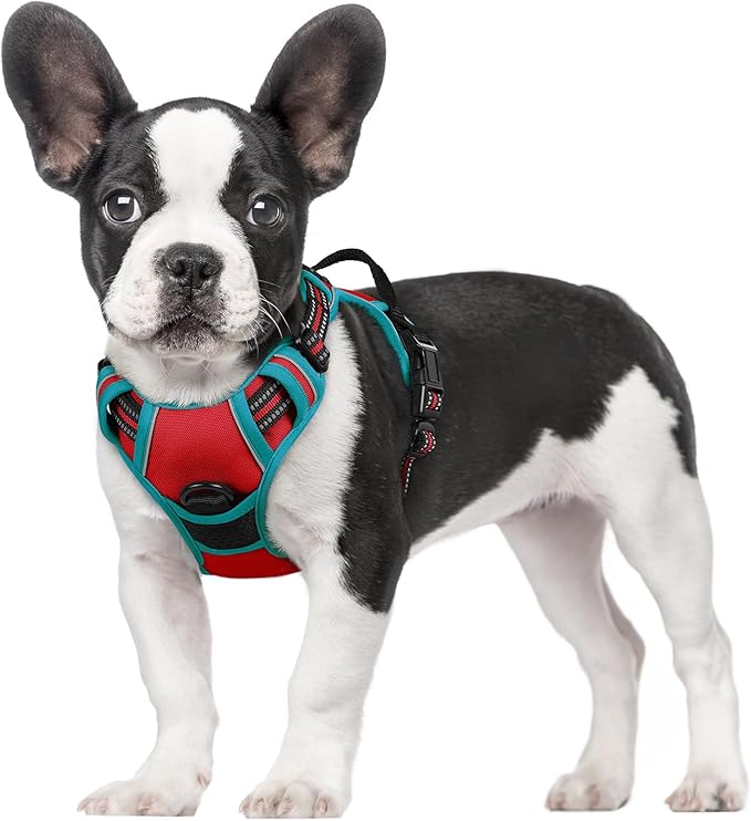 rabbitgoo Dog Harness 2 Leash