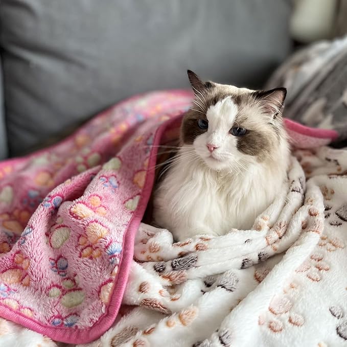 1 Pack 3 Puppy Dog Blankets Super Soft Warm Sleep Mat Fluffy Premium Fleece Pet Blanket Flannel Throw for Dog Puppy Cat Small(23"x15")