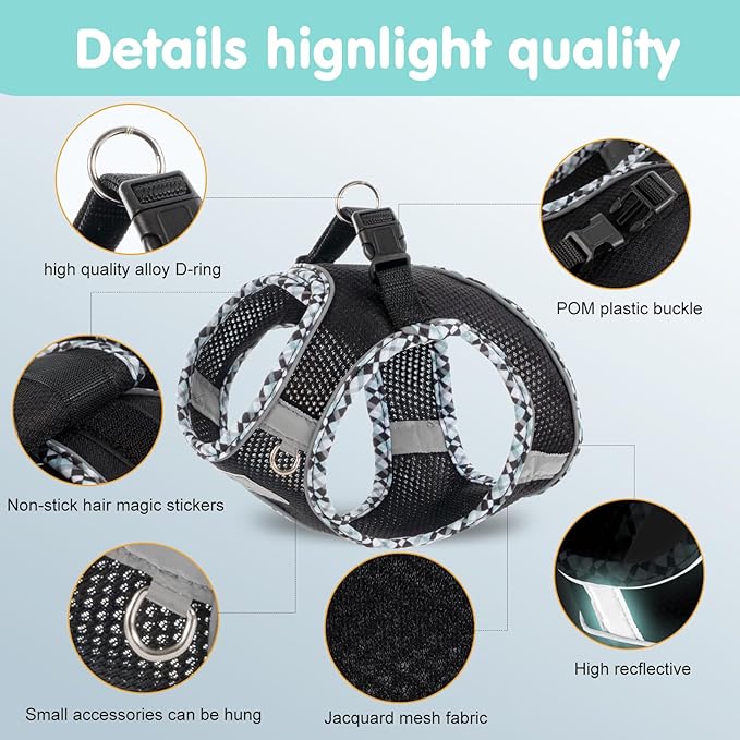 Dog Harness and Leash Set