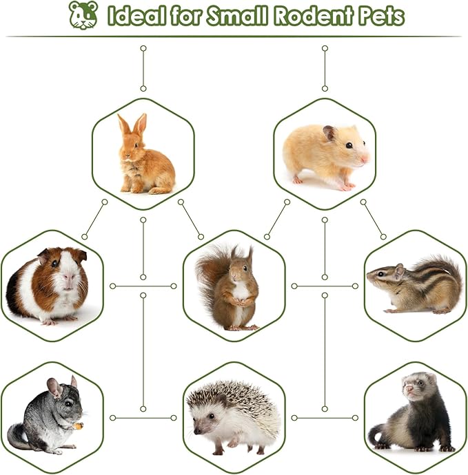 Bissap 6PCS Bunny Chew Toys