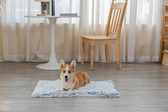 PJYuCien Throw Blanket for Dogs & Cats 16in x 24in, Super