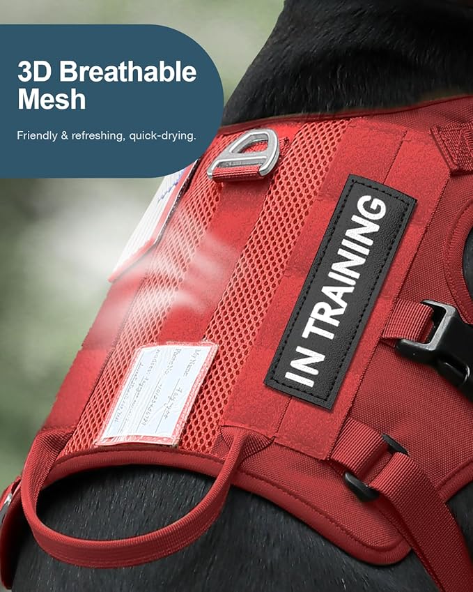 FAYOGOO Service Dog Harness for Large Dogs
