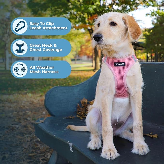 Voyager Step-in Air Dog Harness
