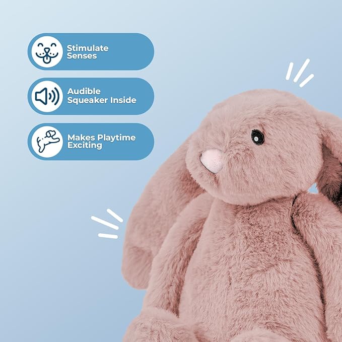 Best Pet Supplies Interactive Bunny Buddy Dog Toy with Crinkle and Squeaky Enrichment for Small and Medium Breed Puppies or Dogs