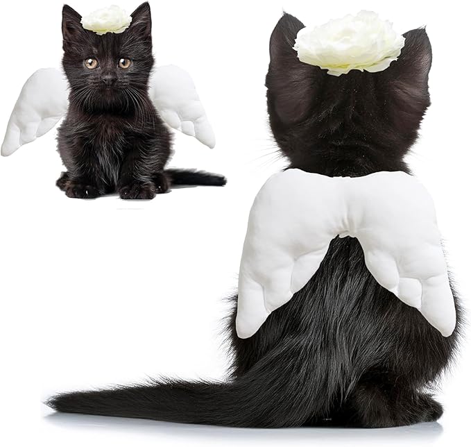 Pet Angel Wings and Headband Costume Accessory Set
