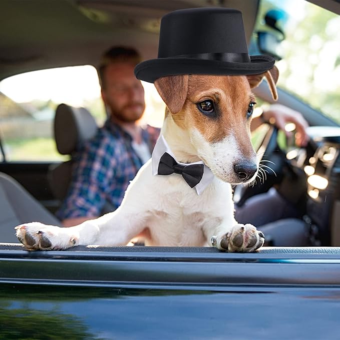 Yewong 2 Pieces Pet Formal Accessories Set