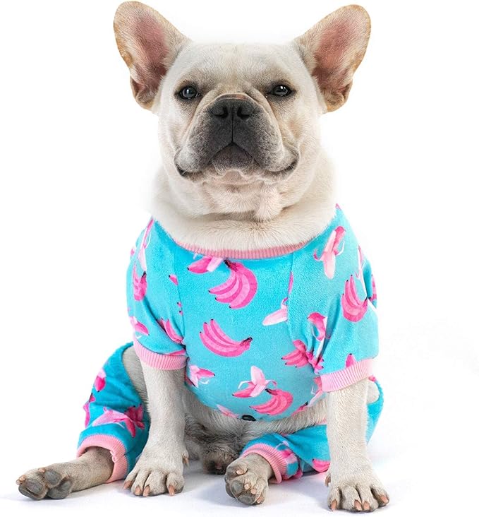 CuteBone Cat Apparel Pet Clothes Dog Onesies Winter P123S