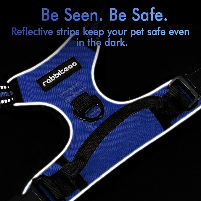 rabbitgoo Dog Harness 2 Leash
