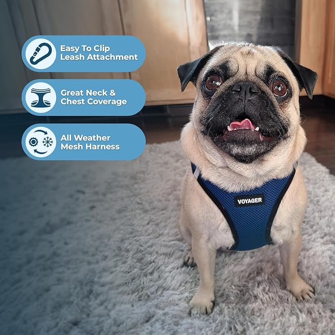 Voyager Step-in Air Dog Harness