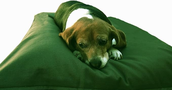 Dogbed4less Do It Yourself DIY Pet Bed Pillow Duvet Canvas Cover + Waterproof Internal case for Dog/Cat at Large 48"X29" Olive Green color