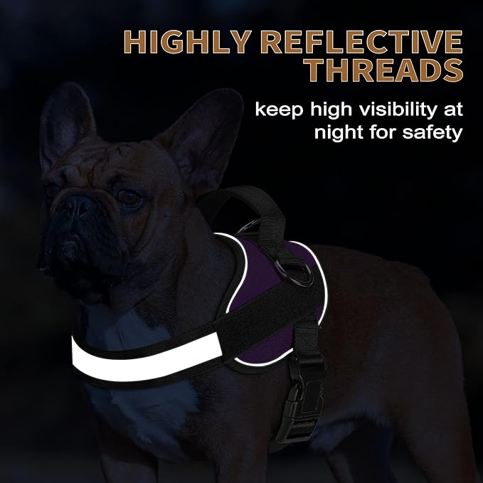 Haapaw Essential Dog Harness 3 Leash