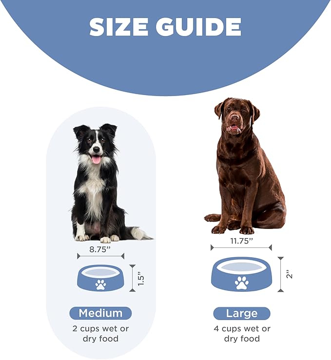 Outward Hound Fun Feeder Slo Bowl