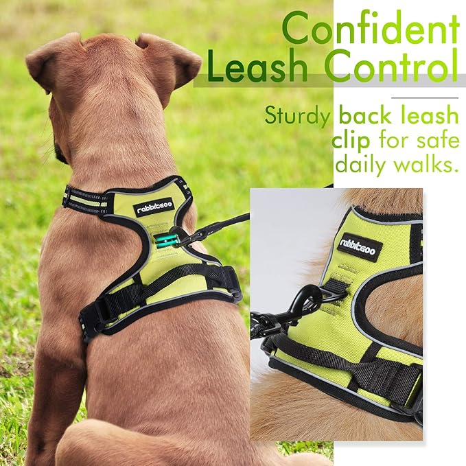 rabbitgoo Dog Harness 2 Leash