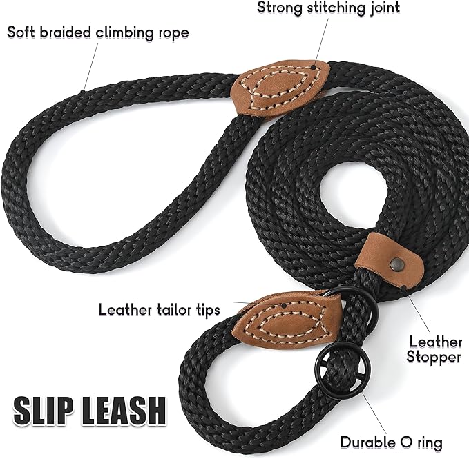 Mile High Life Slip Leads for Dogs 5 Feet