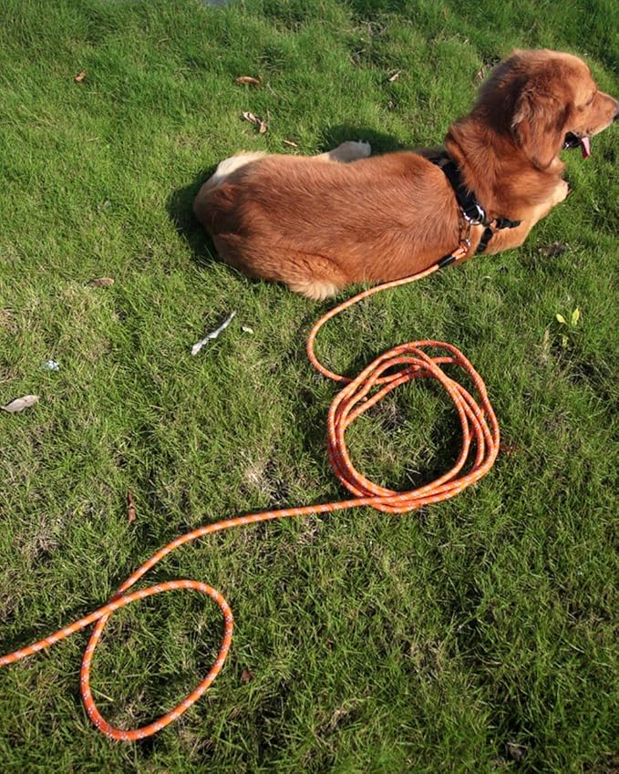 Long Dog Leash for Dog Training 10FT 16FT/30FT/50FT/100FT