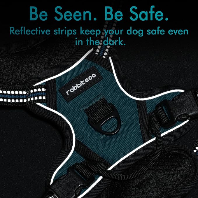 rabbitgoo Dog Harness 2 Leash