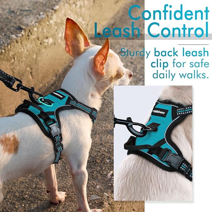 rabbitgoo Dog Harness 2 Leash