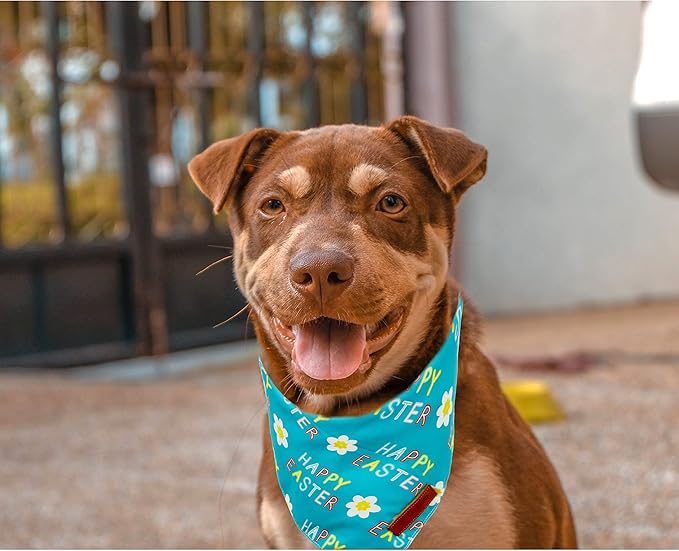Realeaf Happy Easter Dog Bandanas 2 Pack