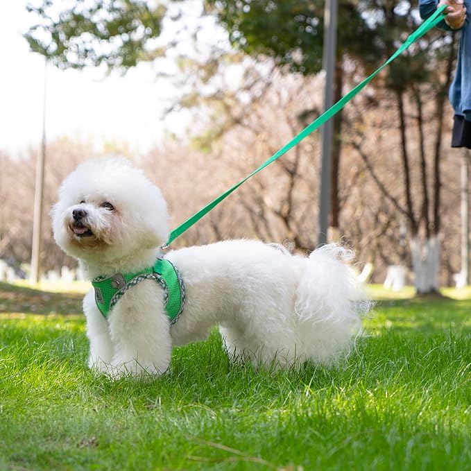 Dog Harness and Leash Set