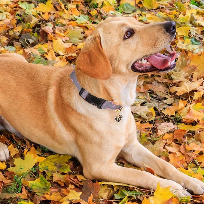 Cotton Handmade Dog Collar Cute and Distinctive Patterns